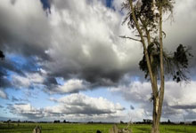 亚洲杯足球赛决赛战役激烈，胜者屹立