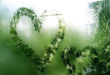 帕克效力老鹰，迎来职业生涯新挑战