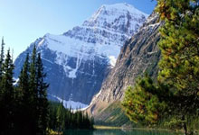 亚洲杯足球赛决赛战役激烈，胜者屹立