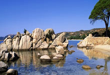 帕克效力老鹰，迎来职业生涯新挑战