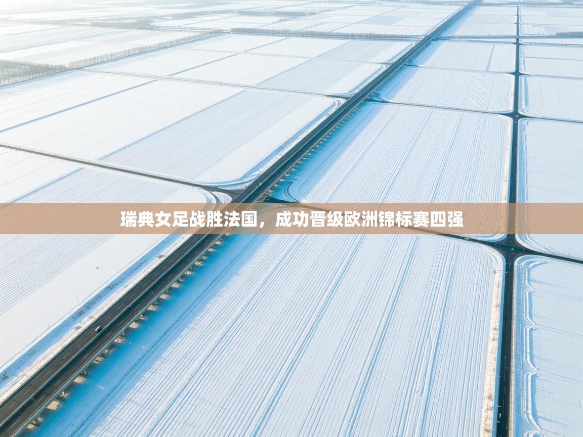 瑞典女足战胜法国,成功晋级欧洲锦标赛四强 第1张