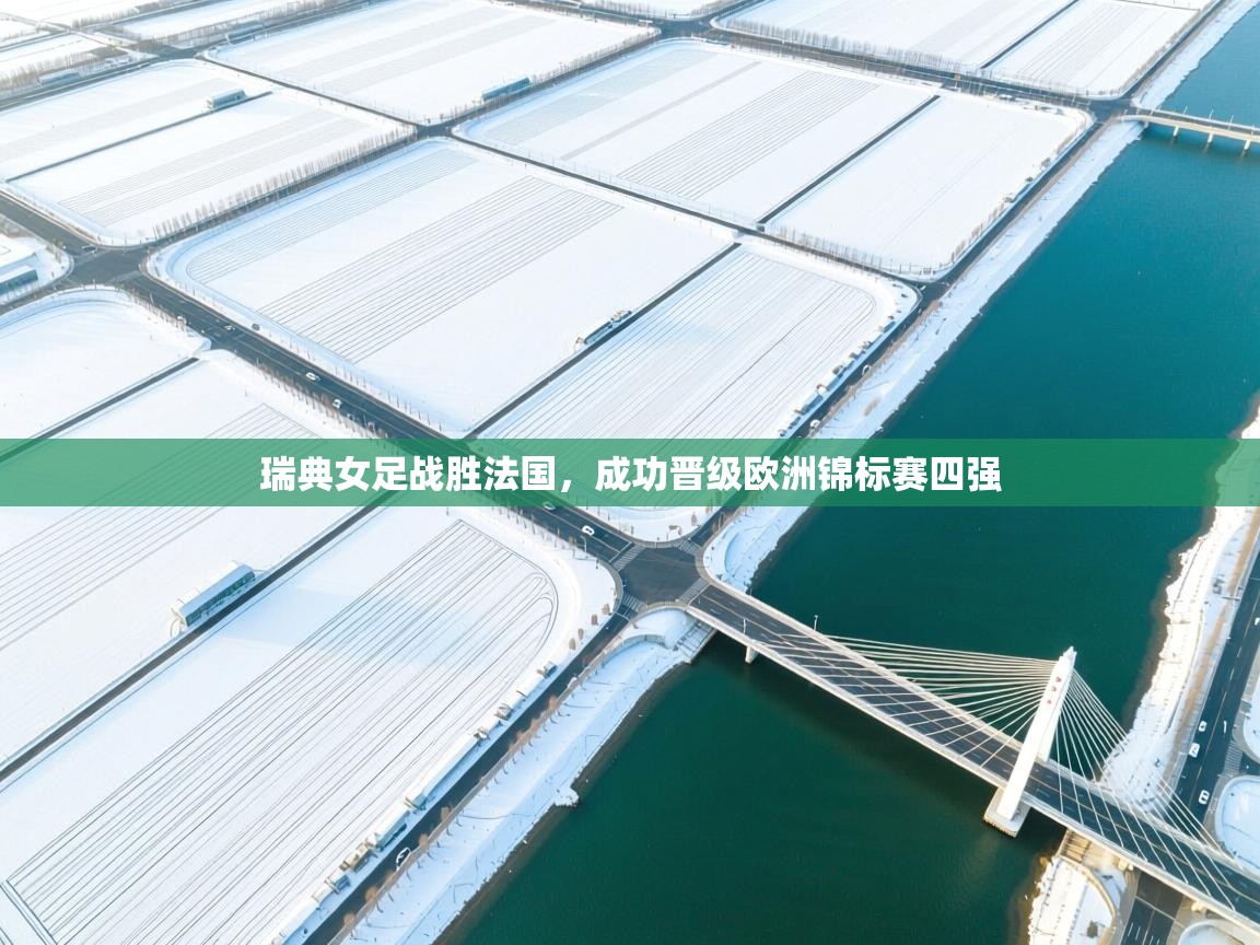 瑞典女足战胜法国,成功晋级欧洲锦标赛四强 第2张