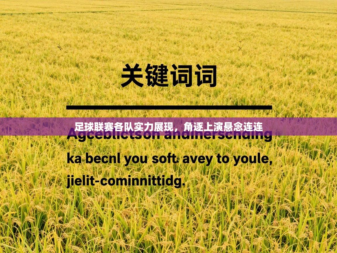 足球联赛各队实力展现，角逐上演悬念连连  第2张