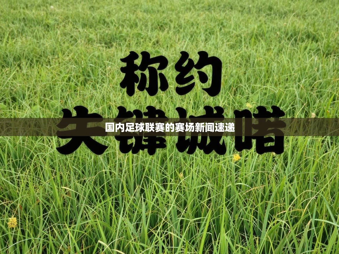 国内足球联赛的赛场新闻速递  第1张