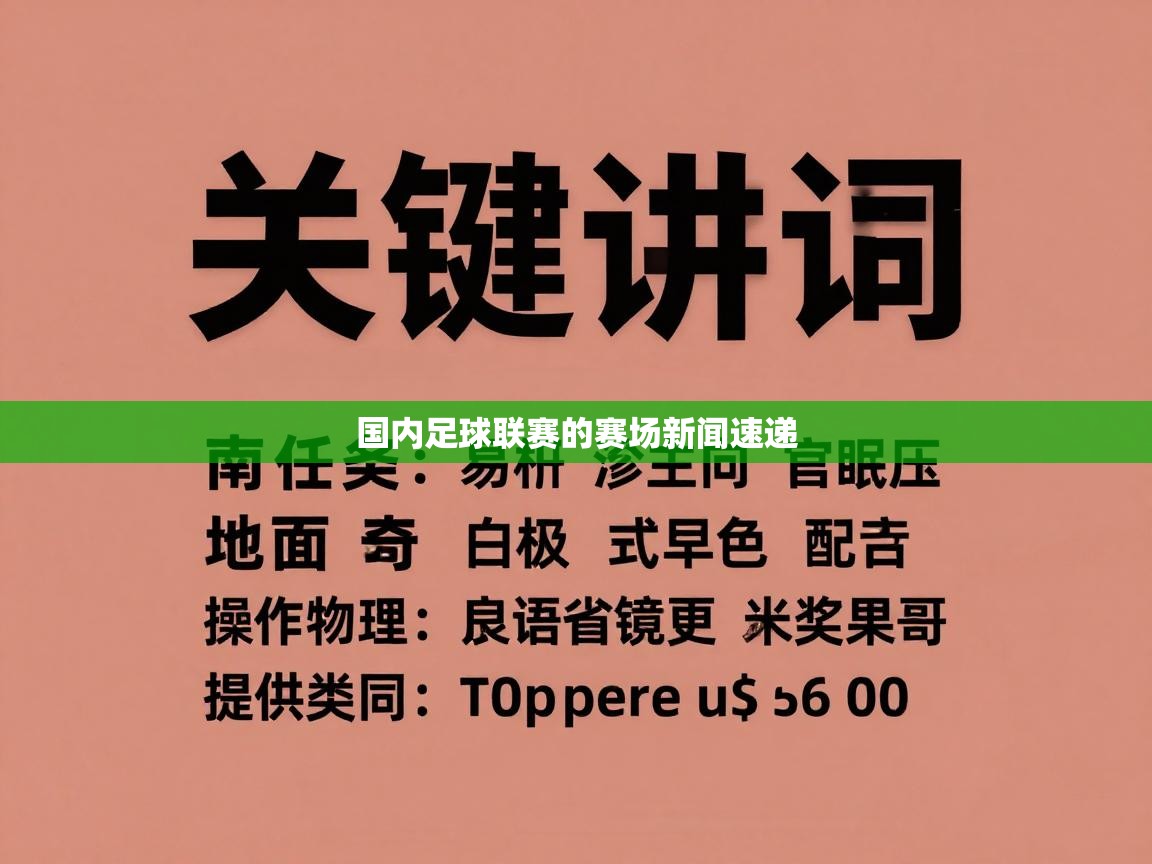 国内足球联赛的赛场新闻速递  第2张