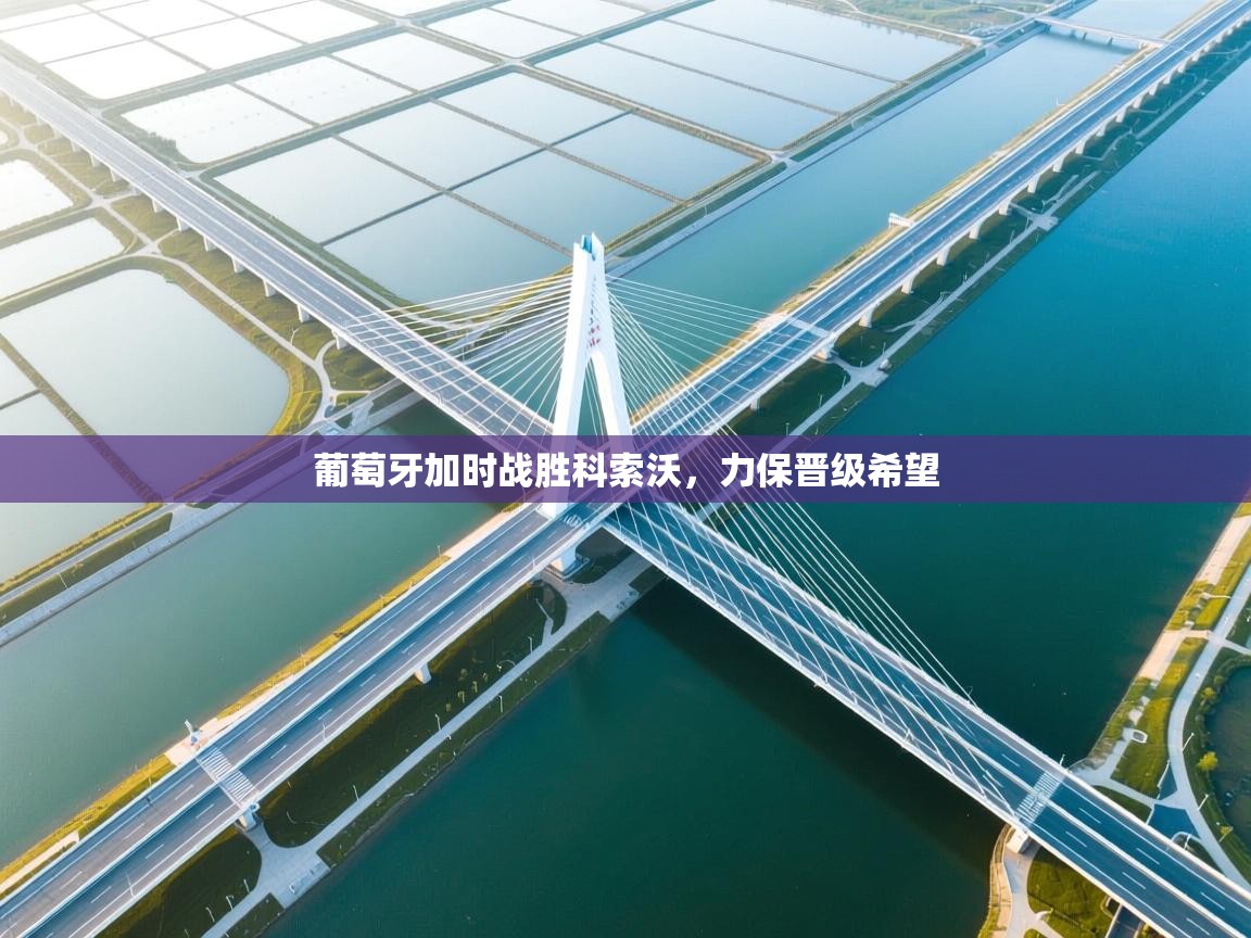 葡萄牙加时战胜科索沃，力保晋级希望  第1张