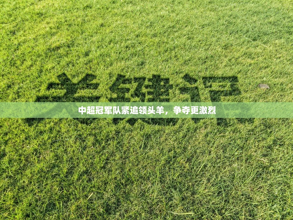 中超冠军队紧追领头羊，争夺更激烈  第2张