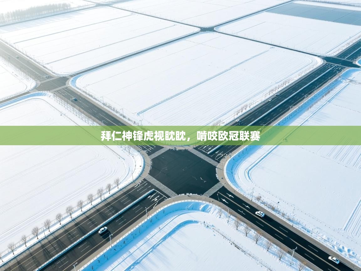 拜仁神锋虎视眈眈,啃咬欧冠联赛 第1张